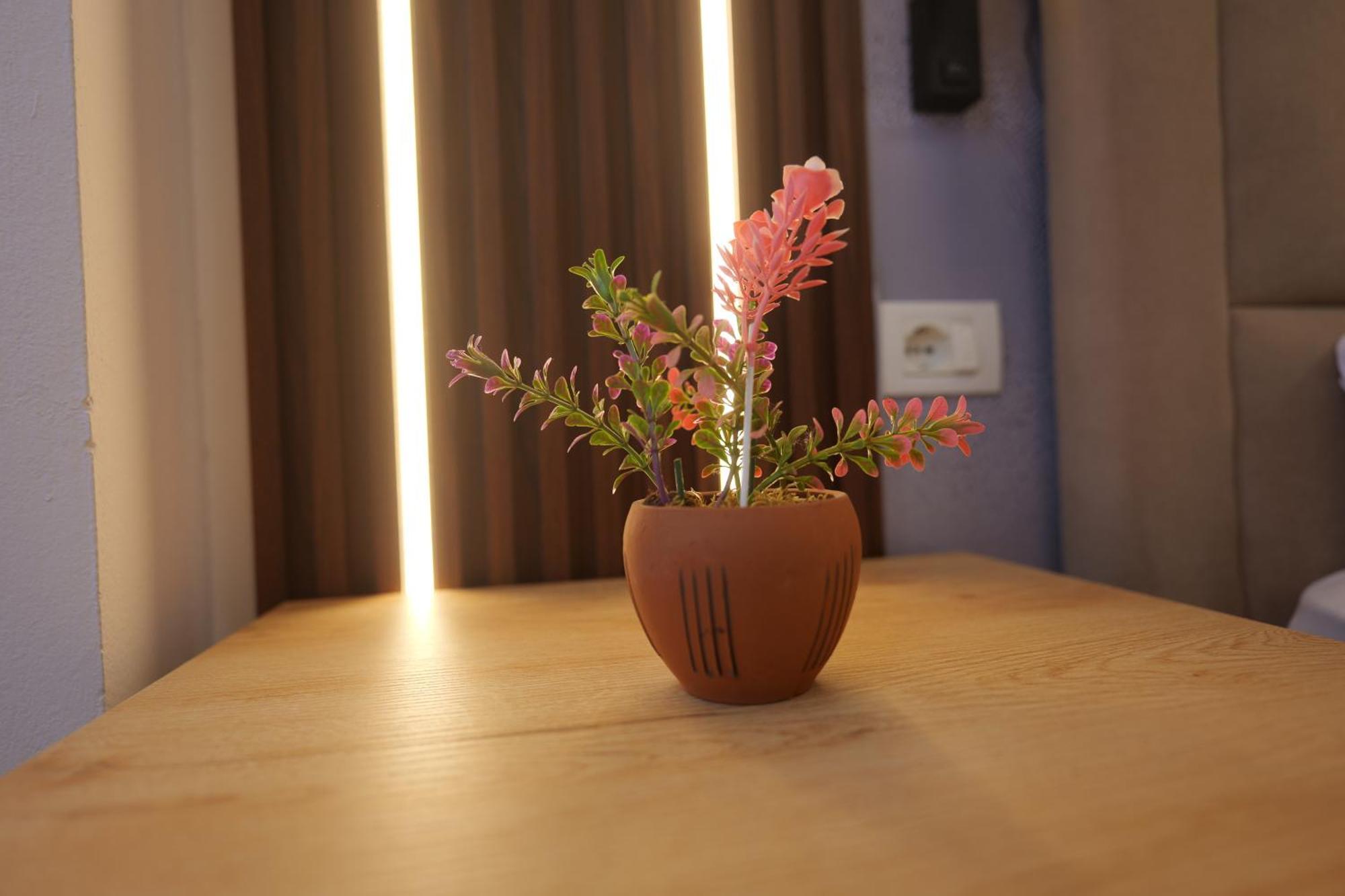 Golden Sleep Hostel Shkodër 외부 사진